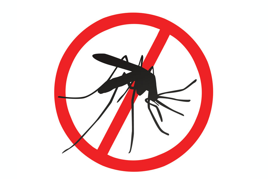 Działanie przeciw owadom i komarom